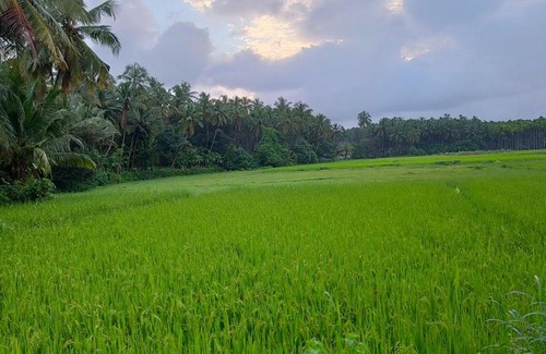Hosdurg House | Lakshmi madhavam homestay
