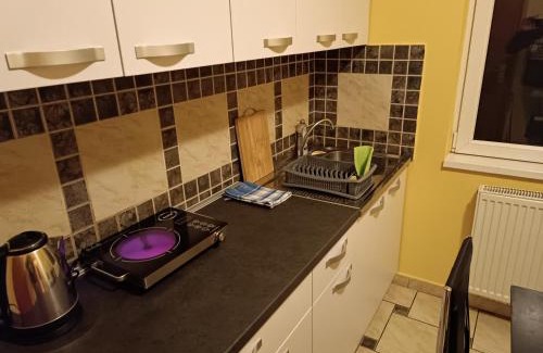 Palic Apartment | Lale's Room