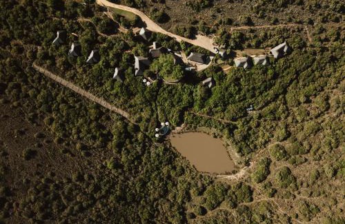 Grahamstown Cabin | Lalibela Game Reserve Mark's Camp
