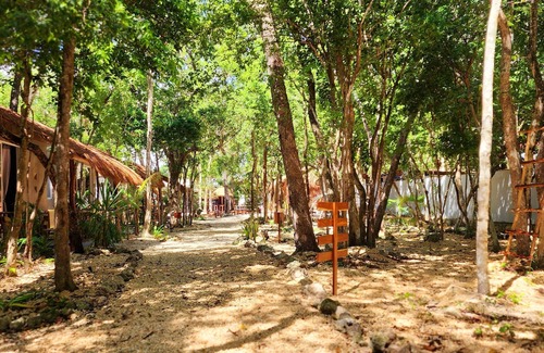 Chetumal Resort | Lam Jungle Deluxe House