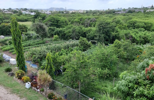 Freemans Village Apartment | LambLion Holiday Apartments