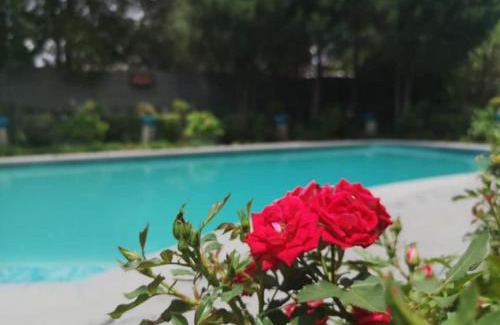 Kroonstad House | Lamon Guesthouse