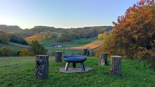 Kapfenstein House | Lamplberg
