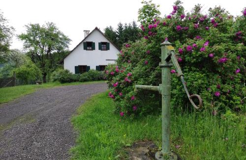 Kapfenstein House | Lamplberg
