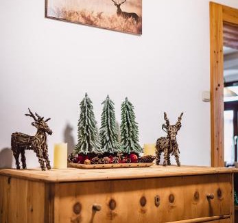 Walchen Apartment | Landhaus Feischl