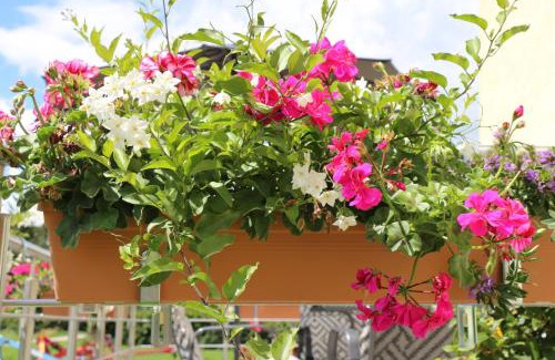 Bad Mingolsheim Apartment | Landhaus Maria