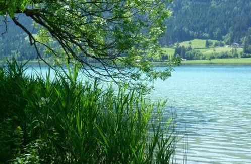 Neusach Apartment | Landhaus Sonneck