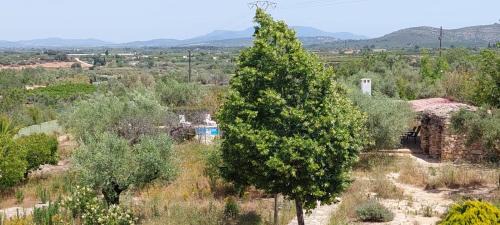 Calig Bed & Breakfast | Landhuisvilla b&b Villa Pardalot