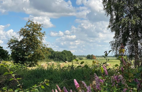 Rehm-Flehde-Bargen Cottage | Landlust im Reetdachhaus