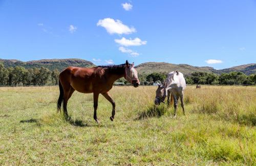 Maanhaarand Apartment | Landor Stud Farm Cottage