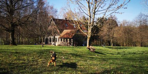 Poppenhausen Apartment | Landschule Rhön