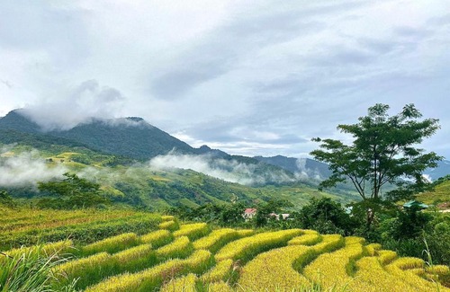 Kon Tum House | Lang Ho Homestay - Coffee