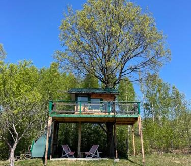 Josenii Bargaului Other | Langaland Glamping