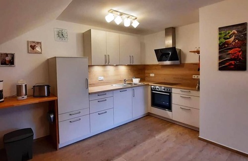 Oppenau Apartment | Langenhof - Holiday apartment 110sqm with air conditioning, vacation on the farm