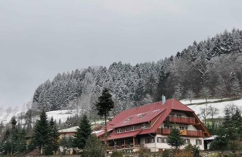 Oppenau Apartment | Langenhof - Holiday apartment 110sqm with air conditioning, vacation on the farm