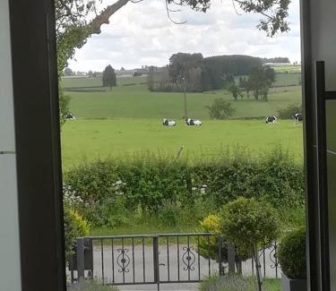 Waimes House | Lanonweye