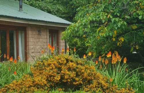 Clarens Villa | Lansi Berg
