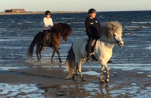 Falkenberg House | Lantligt Semesterboende vid Havet Falkenberg