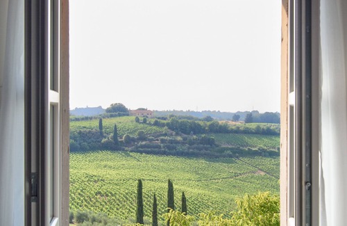 Terricciola Resort | Laqua Vineyard