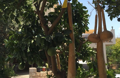 Tala Apartment | LARGE 1 BEDROOM FLAT FOR HOLIDAY LET IN TALA VILLAGE