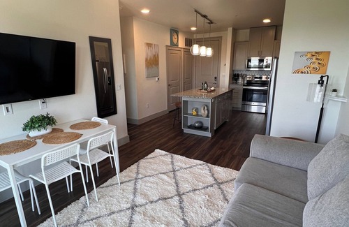 Farmers Branch Apartment | Large 1 Bedroom w/Balcony in North Dallas, Luxury Amenities, Free Parking