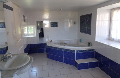 Romagne Other | Large 1850’s Charentais farmhouse with swimming pool 400 metres from Monkey Park
