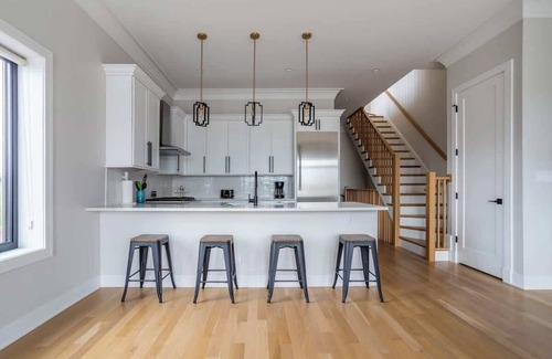 West Lakeview Apartment | Large 2-Bedroom w/Huge Roofdeck view of Skyline