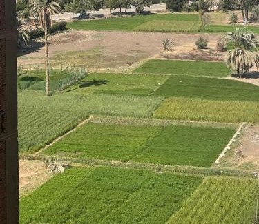 El Faiyum Apartment | Large 2 Bedrooms 4 beds full apartment suitable for Families in Fayoum Dalah
