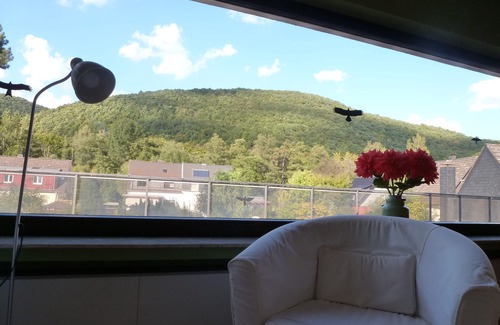 Gemund House | Large 4* house 240 sqm, centrally located, Eifel National Park, hiking trails