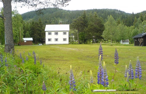 Ofte House | Large and beautiful house on child-friendly and beautiful property.