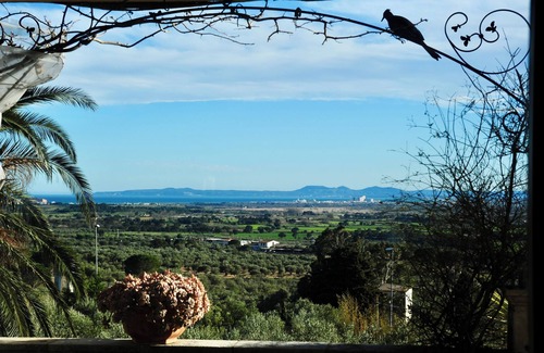 Roses Villa | Large and quiet charming property in the heart of olive trees- 7 mn of the beach