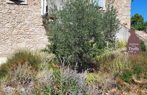 Villeneuve-Minervois Apartment | Large apartment in the heart of the village.