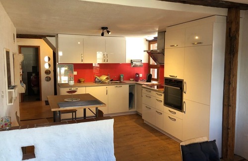 Rekingen Apartment | Large apartment, where not only the swallows (hirundos) feel at home
