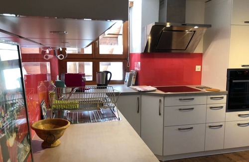 Rekingen Apartment | Large apartment, where not only the swallows (hirundos) feel at home