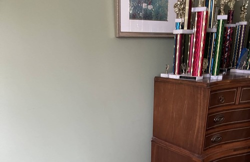 Evanston Apartment | Large apt , close to trader Joe , cta , beach NU