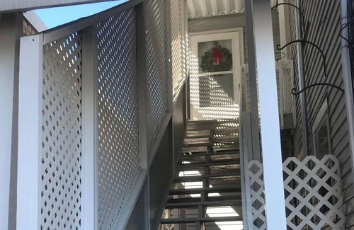 Village of Lakewood Other | Large Charming Vintage Apartment, Dog friendly, Walk Everywhere!
