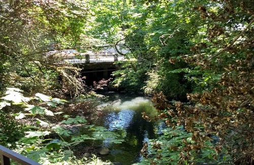 Central Area Condo | Large Condo with Creekside View Minutes From Downtown!