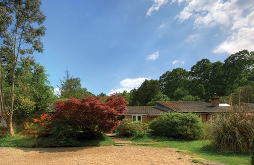 New Forest District Cottage | Large cottage Amazing location! Family group or friends up to 24 people!