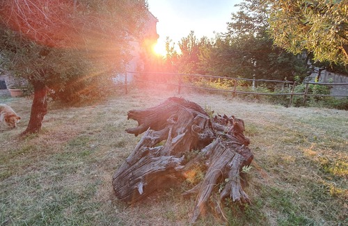 Montalto Uffugo House | Large country-house, private hill-park, tennis court