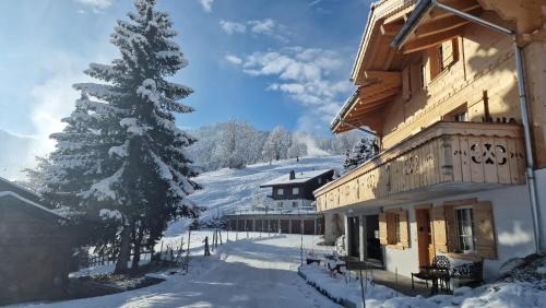 Lenk Apartment | Large Deluxe Studio - Chalet Lovo