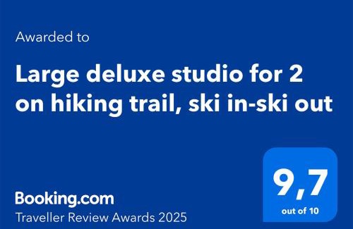Lenk Apartment | Large Deluxe Studio - Chalet Lovo