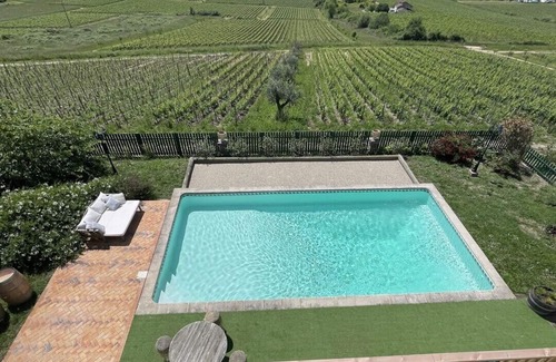 Cadillac Villa | Large designer villa with swimming pool and vineyard - Bordeaux Sud