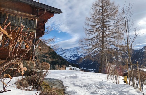 Ormont-Dessous Ski Chalet | Large family chalet in the heart of nature: calm and comfortable living!