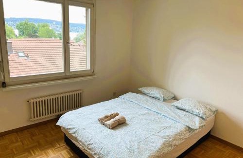 District 2 Apartment | Large Flats, Zurich Lake HWAB - Self Checkin