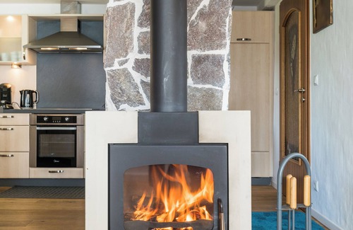 Schonach im Schwarzwald Apartment | Large historic apartment with sauna, fitness room, fireplace, fire pit and garden