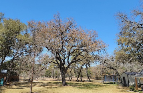 Hondo House | Large Home with Private Guest House