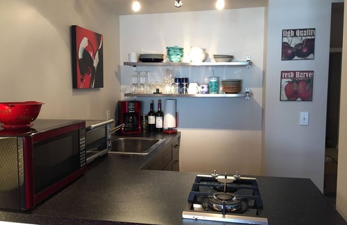 Troy Apartment | Large One bedroom - Studio Near RPI and Sage Colleges. Walk to Downtown Troy