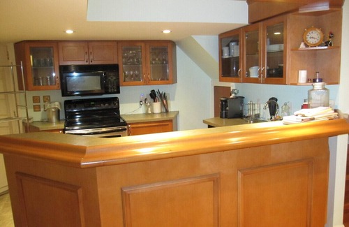 East Credit House | Large Open Basement Room with bathroom and Vegetarian kitchen
