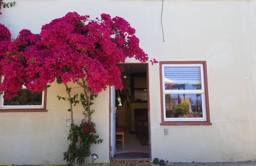 Upper Rockridge Cottage | Large secluded guest suite with patio & garden looking on the Golden Gate Bridge