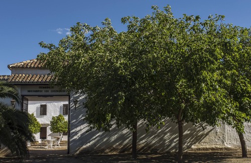 Campillos House | Large Spanish Cortijo in Andalucia with private pool, paddle lit